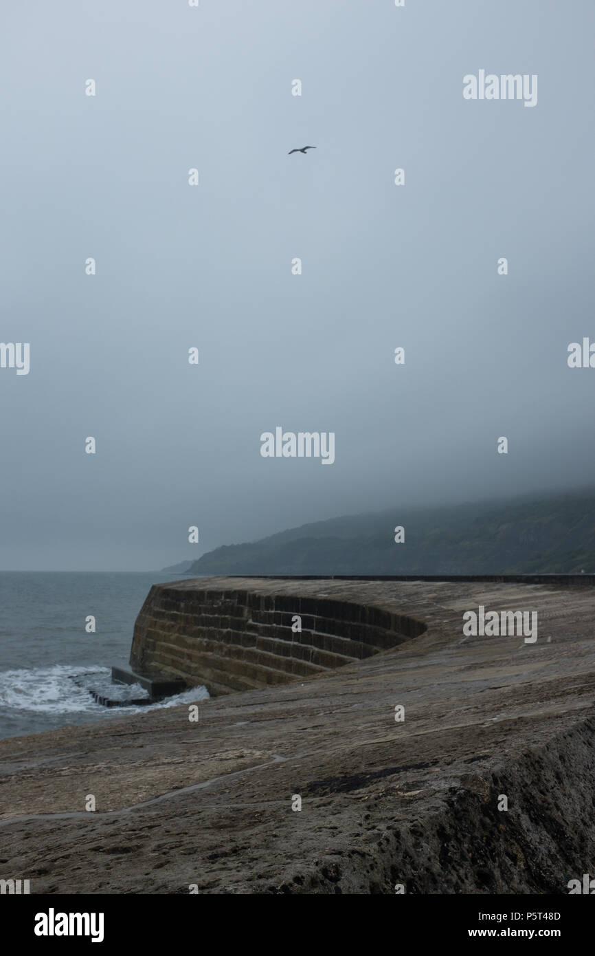 Drammatica stormy misty meteo Lyme Regis con onde che si infrangono contro il porto di Cobb parete e Seagull battono contro i venti, Dorset, Inghilterra. Foto Stock