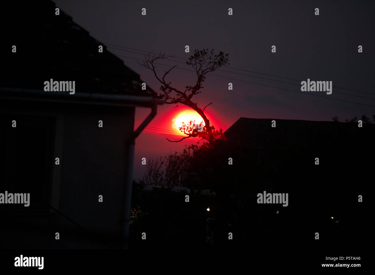 Sun impostazione tra case alberi e linee di alimentazione nel Lake District Cumbria Inghilterra England Regno Unito Foto Stock
