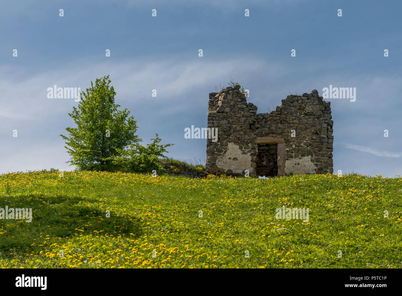 Rovine del Castello di Saris vicino a Presov in Slovacchia Foto Stock