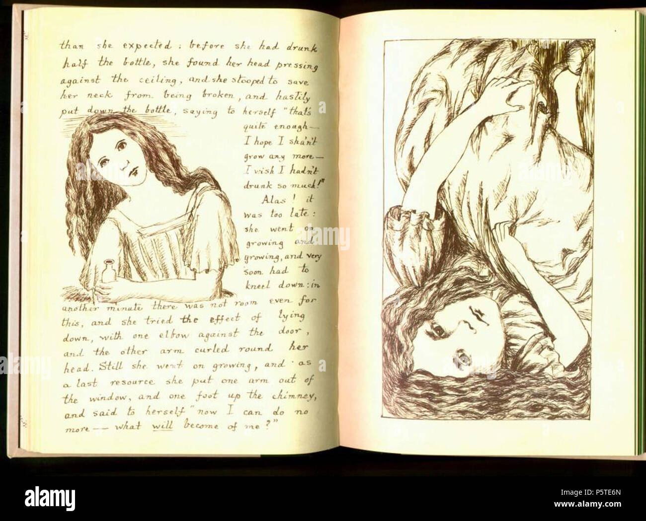 N/A. Deutsch: Carroll, Alice, aus dem 3. Kapitel . 1864. Lewis Carroll (1832-1898) nomi alternativi Charles Lutwidge Dodgson Descrizione British-English scrittore, matematico e fotografo Data di nascita e morte 27 Gennaio 1832 14 gennaio 1898 Luogo di nascita e morte Daresbury, Cheshire, Inghilterra Guildford, Surrey, Inghilterra periodo di lavoro 1854 al 1898 sede di lavoro Inghilterra competente controllo : Q38082 VIAF:66462036 ISNI:0000 0001 2137 136X ULAN:500027372 LCCN:N79056546 NLA:35039311 WorldCat 277 Carroll, Alice, 3. Kapitel Foto Stock