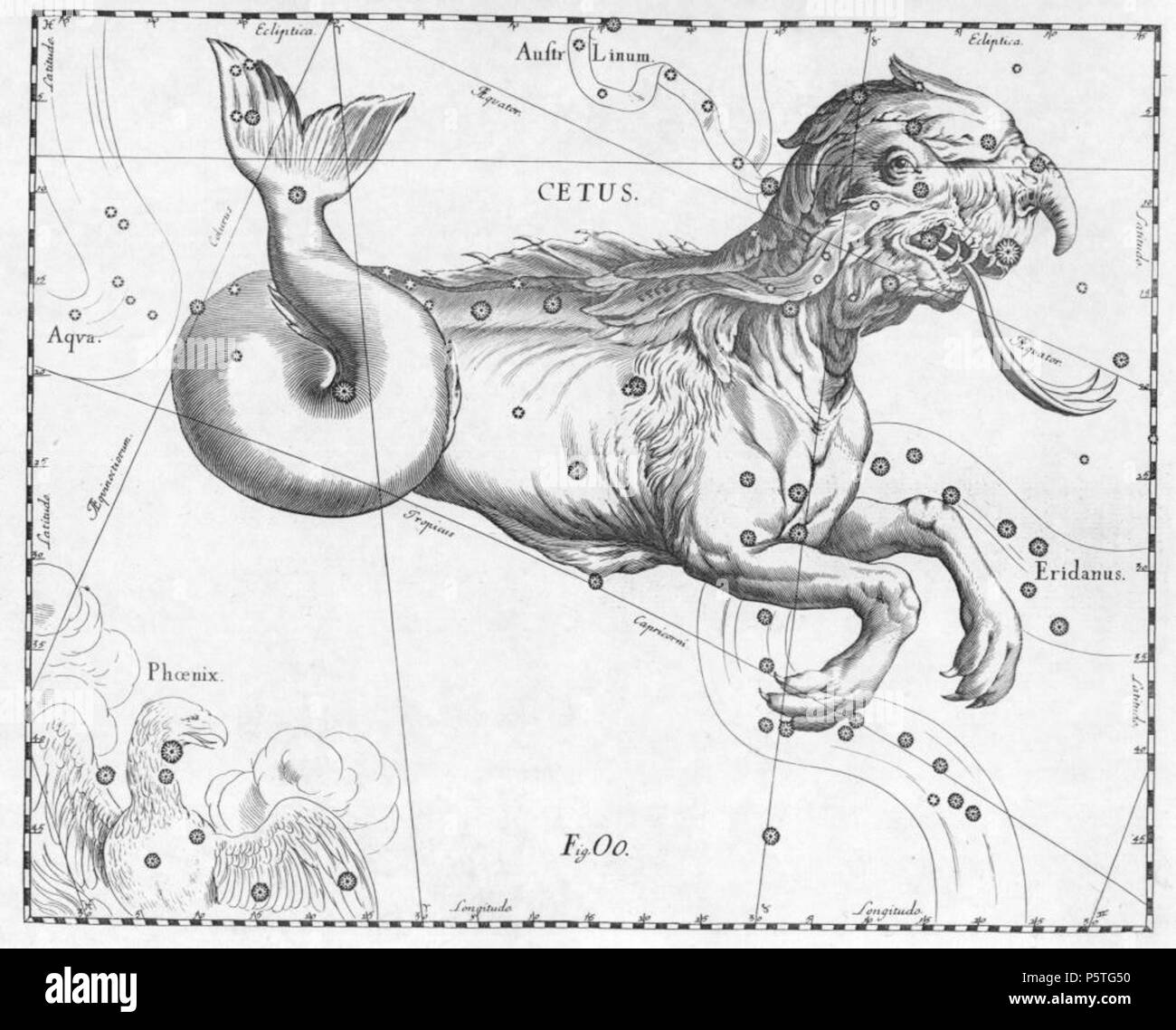 N/A. L'en:Cetus costellazione da Uranographia di Johannes Hevelius. La vista è specchiata seguendo la tradizione dei globi celesti, che mostra la sfera celeste in una vista dall 'esterno' . 1690. Johannes Hevelius - scandito da: Torsten Bronger 2003 aprile 4 Fonte descrizione: 287 Cetus Hevelius Foto Stock
