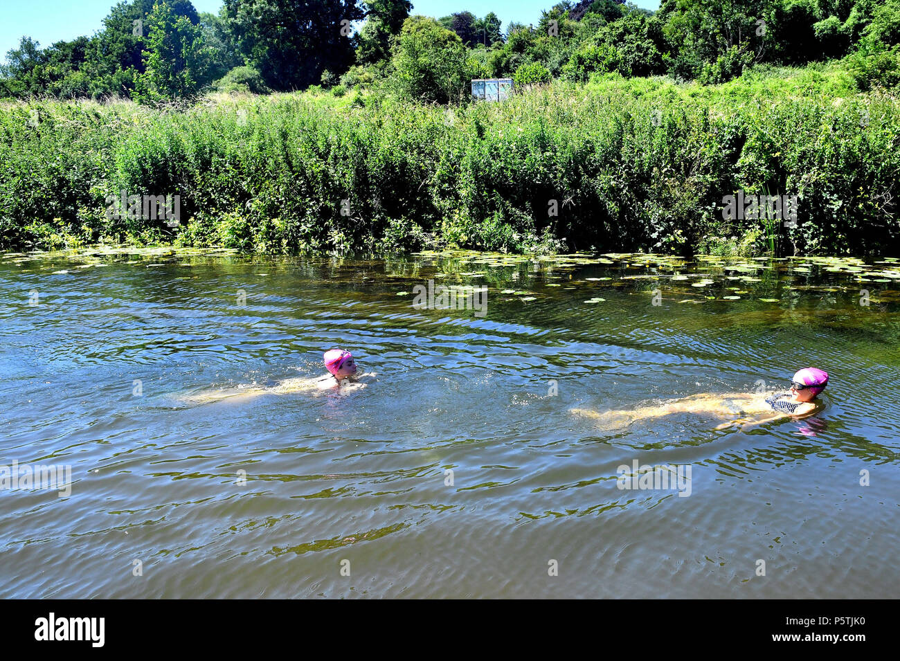 Nuotatori a Warleigh Weir, vicino Claverton al di fuori del bagno. Foto Stock