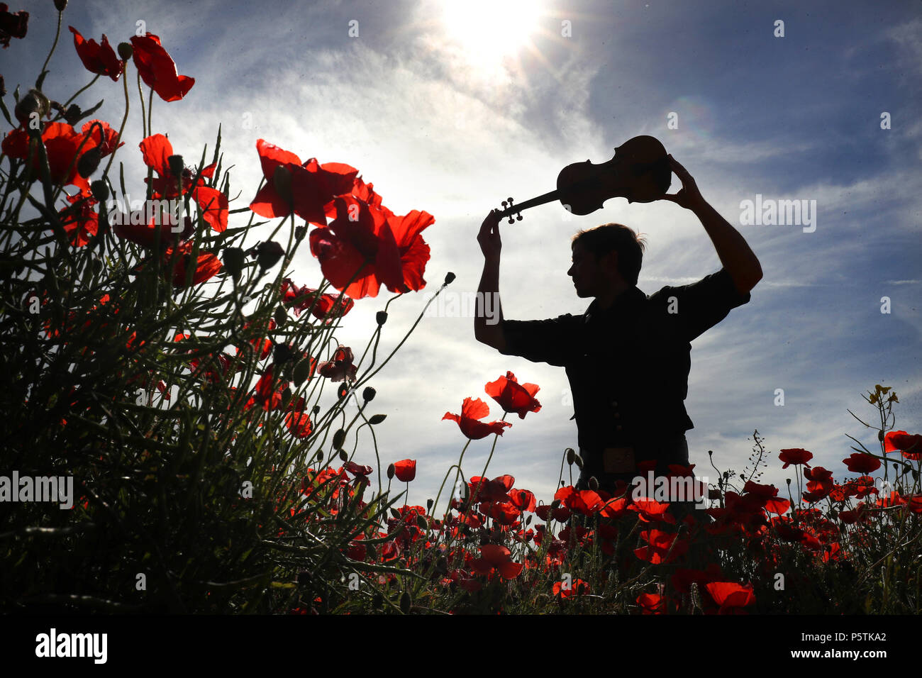 Musicista e compositore Thoren Ferguson con la Wilfred Owen violino in un campo di papavero in Midlothian, durante il lancio di una nuova composizione musicale, "Armistizio", che è stato rilasciato per un concerto a livello globale con una crowdsourced orchestra internazionale. Il pezzo sarà giocato in tutto il mondo dai musicisti volontari nel pomeriggio del Giorno del Ricordo e condiviso su social media. Foto Stock