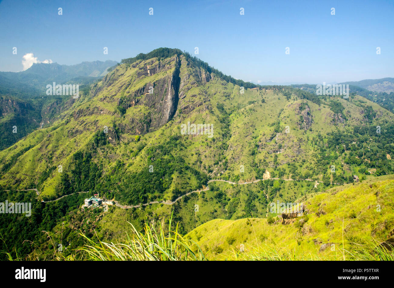Ella Rock, Hill Country, Sri Lanka Foto Stock