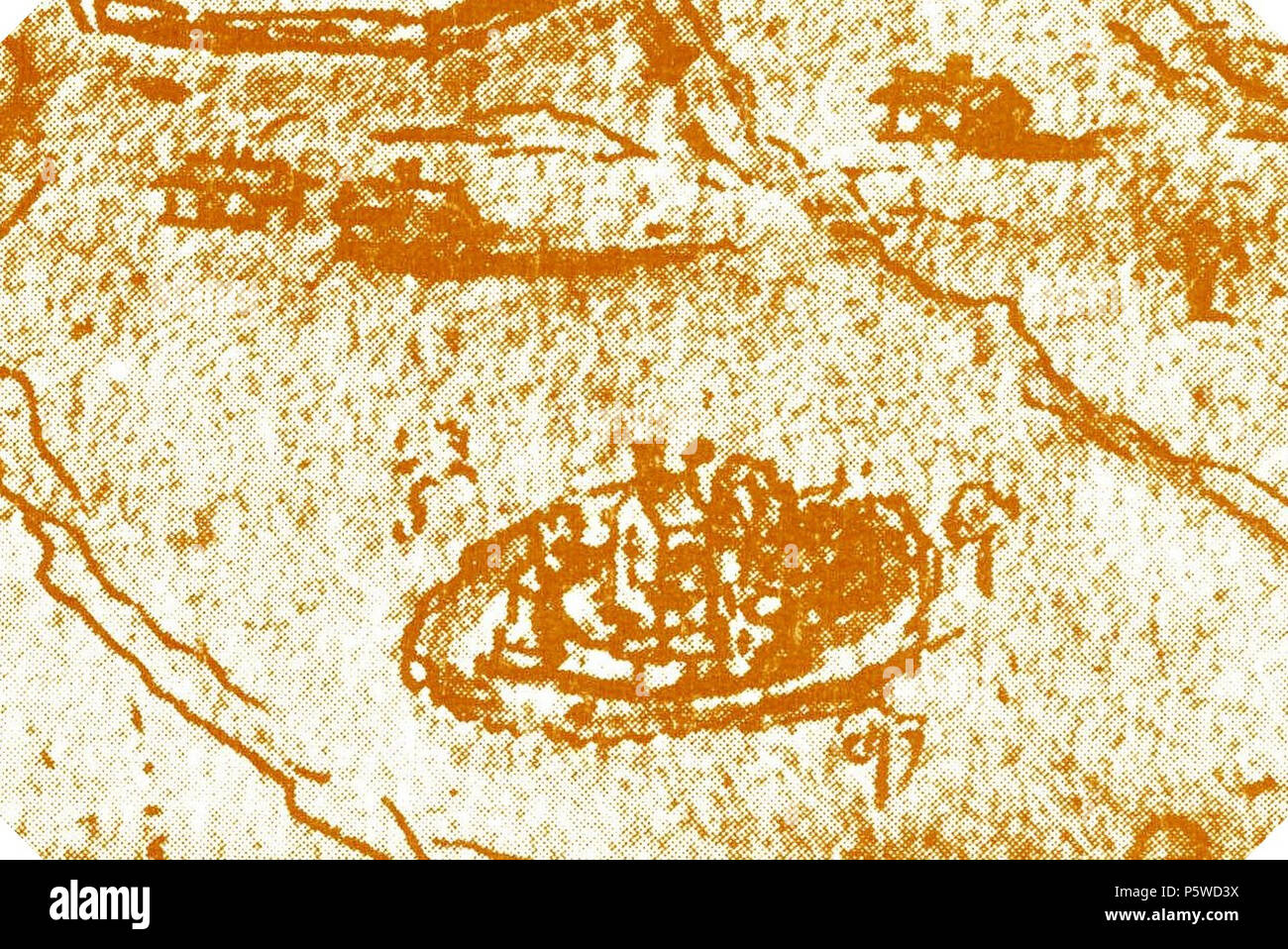 N/A. Inglese: Disegno da Francois Horenbault di Torenberg castello vicino Zaamslag nell'anno 1569. Nederlands: porta Tekening Francois Horenbault van de Torenberg bij Zaamslag nel 1569, ha incontrato weglating van de voorburcht. 1569. Francois Horenbault 428 De Torenberg nel 1569 Foto Stock