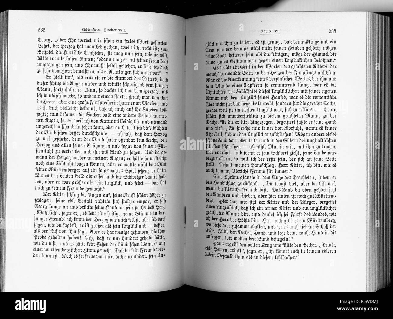 W. Hauffs Werke. Caldaia a recupero. von Max Mendheim. Kritisch durchgesehene und erläuterte Ausgabe. 4 Bände. Lpz., Wien, Bibliographisches Institut, (1891-1909). Band I. Hauffs Leben und Werke; Gedichte; Lichtenstein;. de: Dies ist ein Scan des historischen Buches: en: questa è una scansione del documento storico: Wilhelm Hauff (1802-1827) 429 De Wilhelm Hauff Bd 1 139 Foto Stock