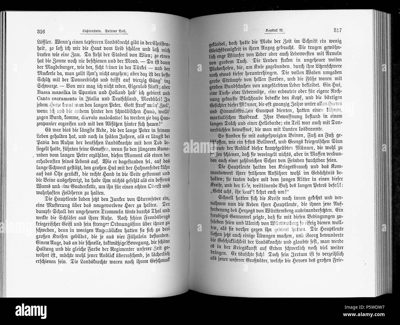 W. Hauffs Werke. Caldaia a recupero. von Max Mendheim. Kritisch durchgesehene und erläuterte Ausgabe. 4 Bände. Lpz., Wien, Bibliographisches Institut, (1891-1909). Band I. Hauffs Leben und Werke; Gedichte; Lichtenstein;. de: Dies ist ein Scan des historischen Buches: en: questa è una scansione del documento storico: Wilhelm Hauff (1802-1827) 429 De Wilhelm Hauff Bd 1 181 Foto Stock