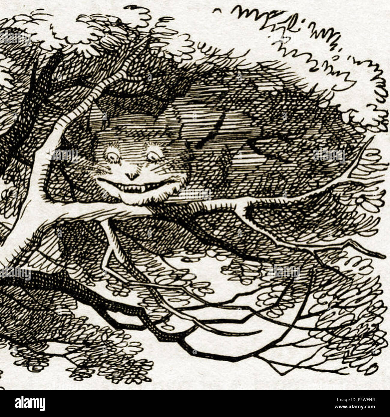 N/A. Il Cheshire cat vanishing (dettaglio) di Lewis Carroll Alice nel Paese delle Meraviglie disegnato da John Tenniel (1820-1914) . 1865-66. N/A 337 Cheshire cat vanishing (dettaglio) Foto Stock