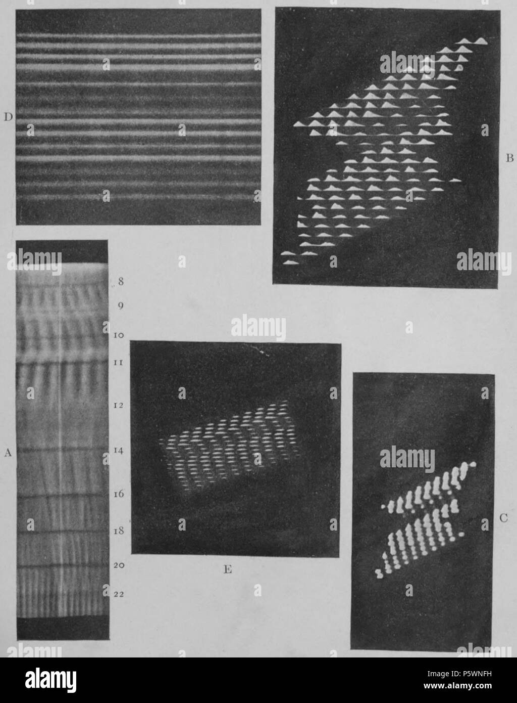 N/A. Inglese: piastra 9. A. Periodogramma dei numeri sunspot, 1755-1911. Corrugazioni mostrano periodi. I numeri danno la lunghezza del periodo in anni. La linea bianca è l'anno 1830 e mostra una fase. B. Modello differenziale utilizzato nel rendere il periodogramma, consistente della curva sunspot montato in più. C. stesso modello fotografata al di fuori della messa a fuoco per mostrare delle discontinuità di linee verticali. D. Sweep di sunspot numeri, 1755-1911. E. configurazione differenziale di numeri sunspot realizzati mediante il processo periodograph. 1919. Andrew Ellicott Douglass 353 cicli climatici e Tree-Growth piastra 9 Foto Stock