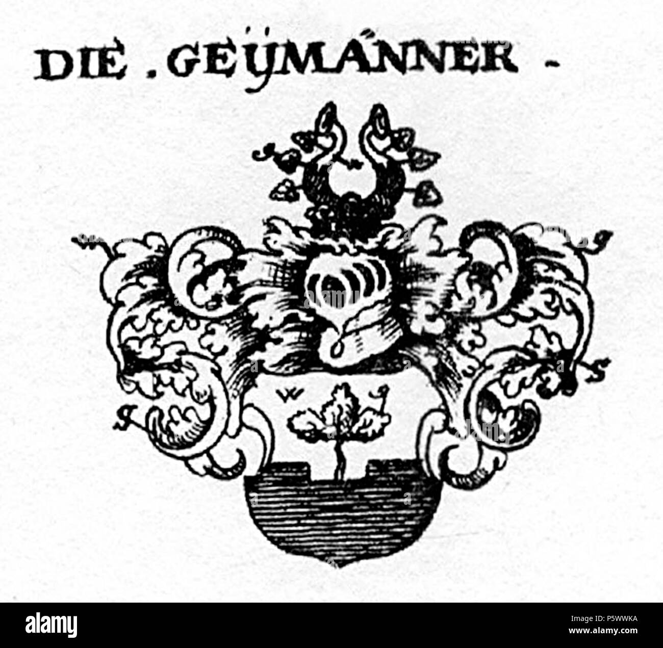 356 COA Geymann 2 Foto Stock