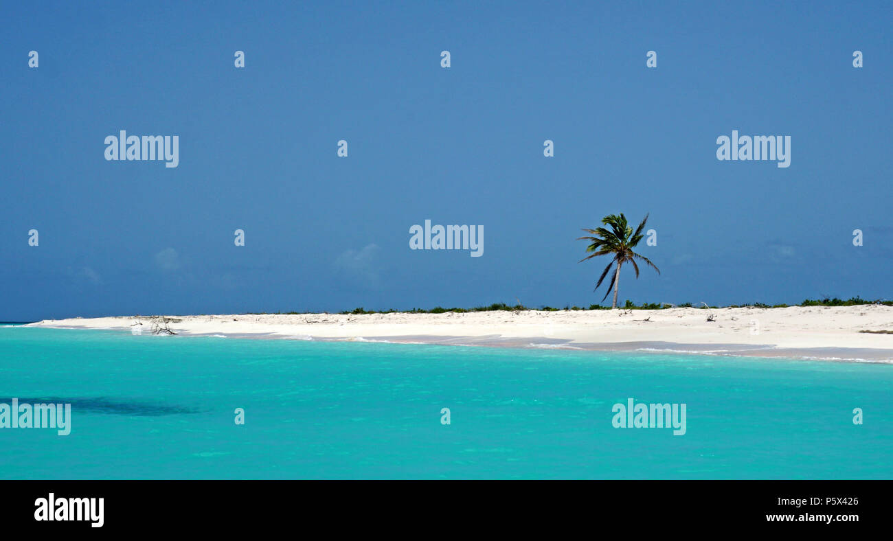 Falmouth Superyacht Dock, Antigua Foto Stock