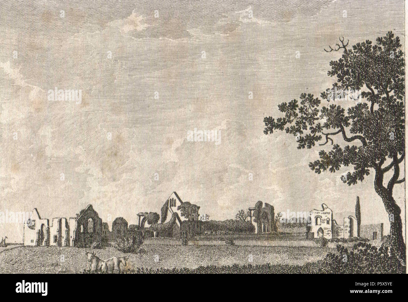N/A. Inglese: vista generale delle rovine di Netley Abbey da sud-est . Il 27 giugno 1784. Richard Godfrey, pubblicato da Samuel Hooper in Francesco Grose le antichità di Inghilterra e Galles (1773-87) 24 1759netley Foto Stock