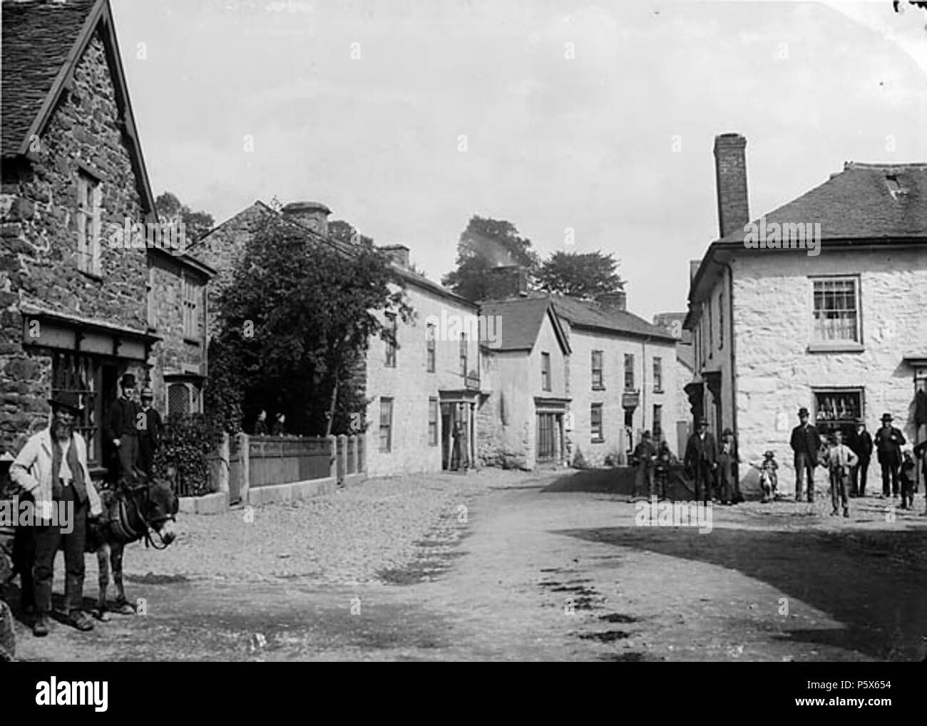 [Corner shop, Llanrhaeadr-ym-Mochnant] [GRAPHIC].. 1 negativi : vetro, piastra a secco, b&W ; 12 x 16,5 cm. circa 1885. Thomas, Giovanni, 381 Corner shop, Llanrhaeadr-ym-Mochnant NLW3363442 Foto Stock