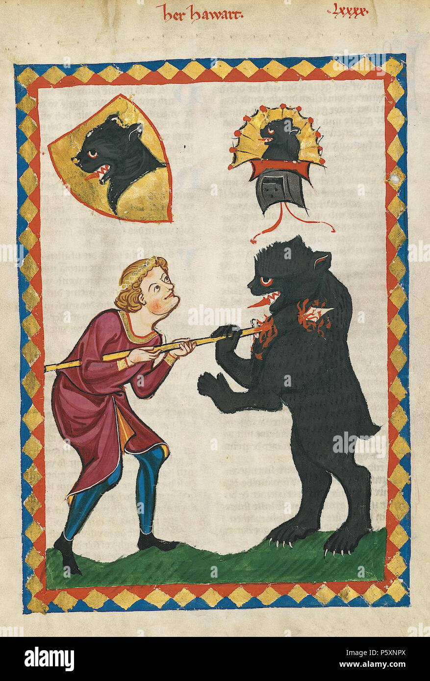 N/A. Deutsch: Codex Manesse, UB Heidelberg, Cod. Pal. germe. 848, fol. 313r: Herr Hawart . tra 1305 e 1315. Meister des Codex Manesse (Grundstockmaler) Descrizione pittore tedesco periodo di lavoro c. 1305-1340 () 363 Codex Manesse 313r Hawart Foto Stock