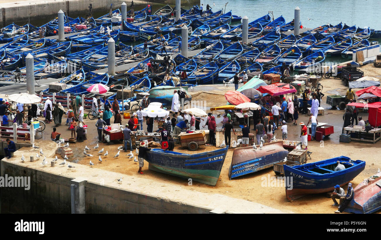 Tradizionali barche da pesca a Essaouira, Marocco Foto Stock