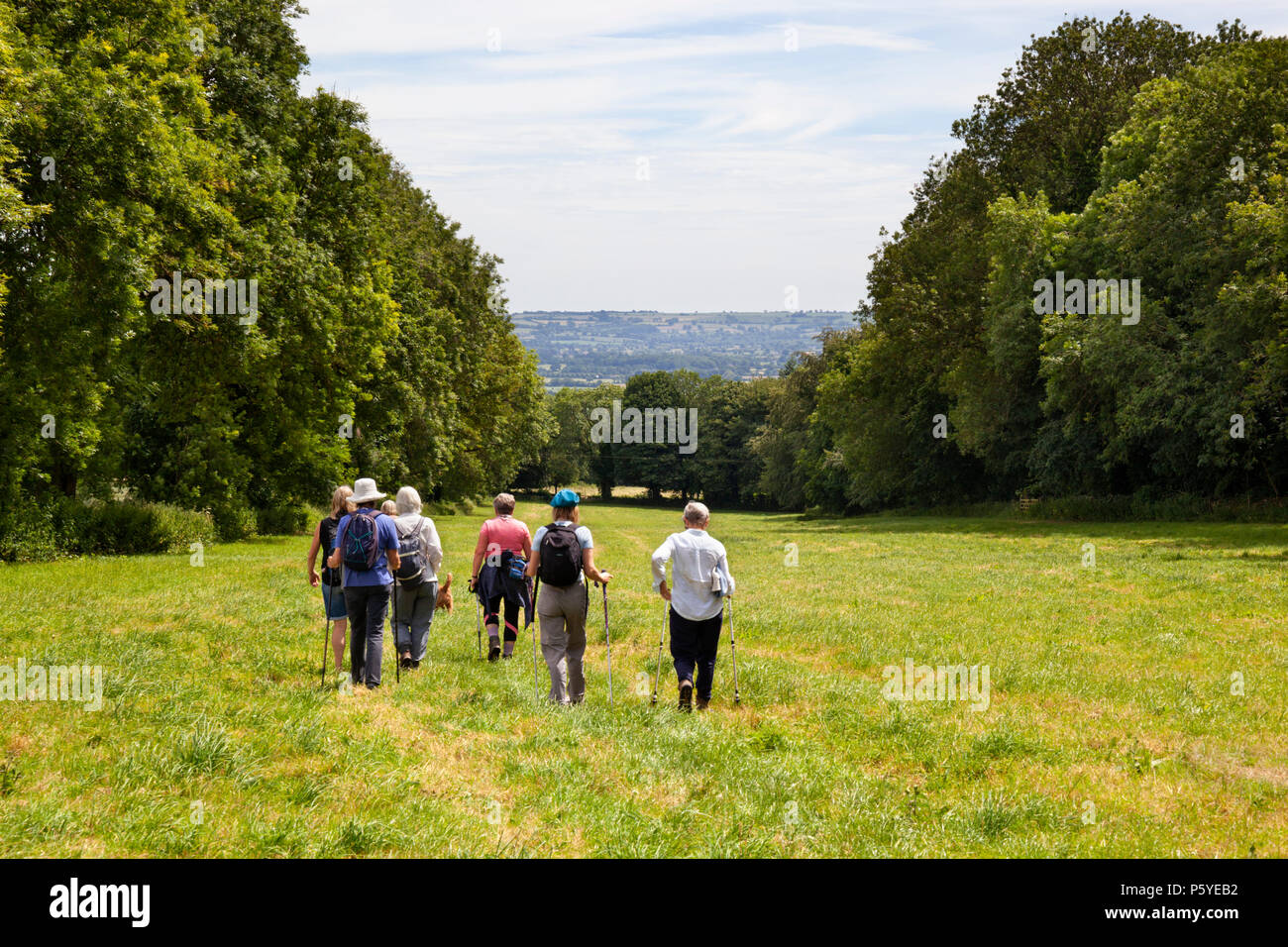 Un gruppo di cittadini anziani escursionisti a piedi attraverso Cotswold campagna vicino Sezincote, il Costwolds, Gloucestershire, England, Regno Unito, Europa Foto Stock