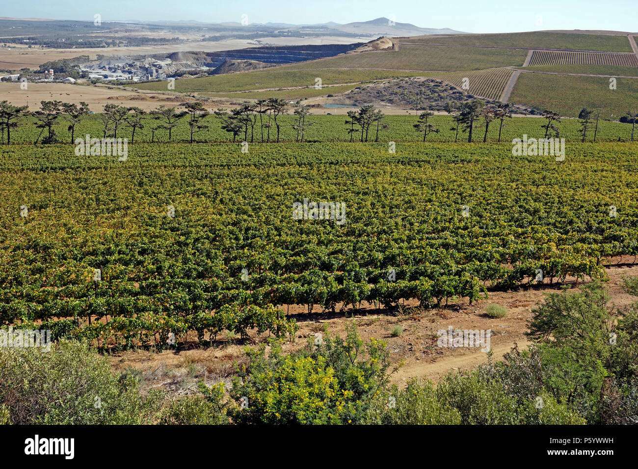La vista del Gran Sasso cava da Durbanville Hills Wine Estate, Tygerberg Road, Durbanville, Cape Town. Foto Stock