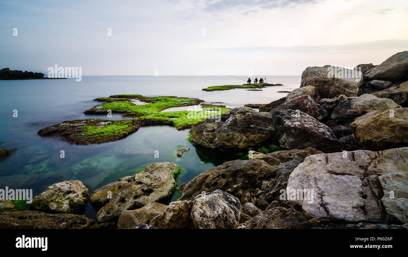 I pescatori su una roccia ricoperte di alghe in acqua, Byblos, Jbeil, Libano Foto Stock