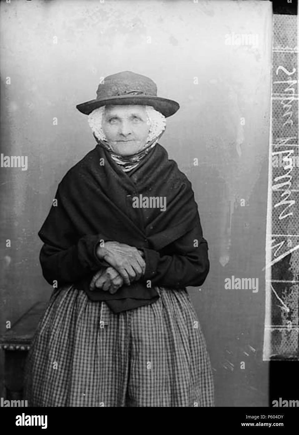 [D Rees, Llanbryn-mair] [GRAPHIC].. 1 negativi : vetro, piastra a secco, b&W ; 11 x 8.5 cm. circa 1885. Thomas, Giovanni, 397 D Rees, Llanbryn-mair NLW3362665 Foto Stock