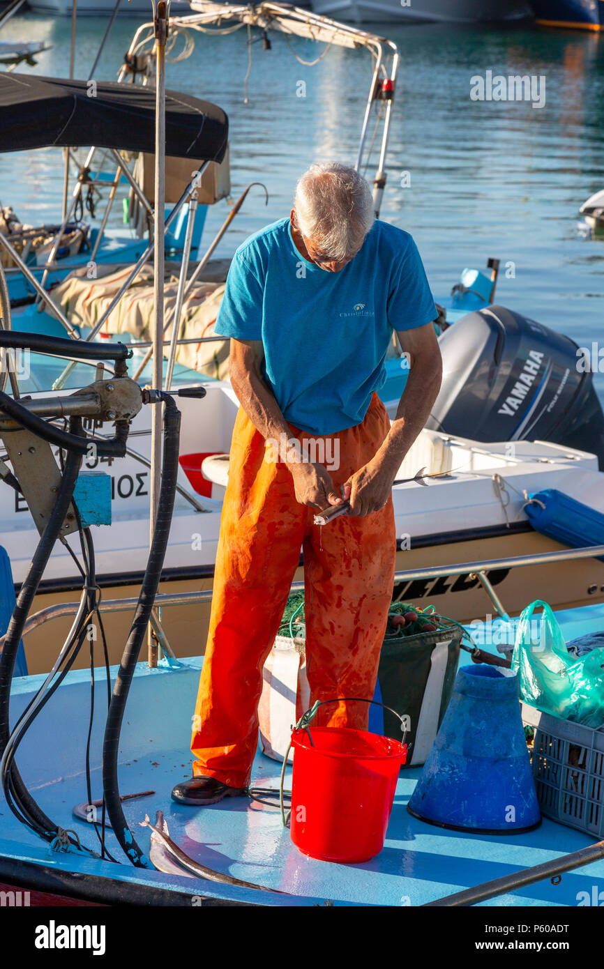 Pescatore locale di eviscerazione e preparazione di una pesca di cattura mentre in piedi su una tradizionale barca da pesca, legato nel vecchio porto di Ayia Napa, Cipro Foto Stock