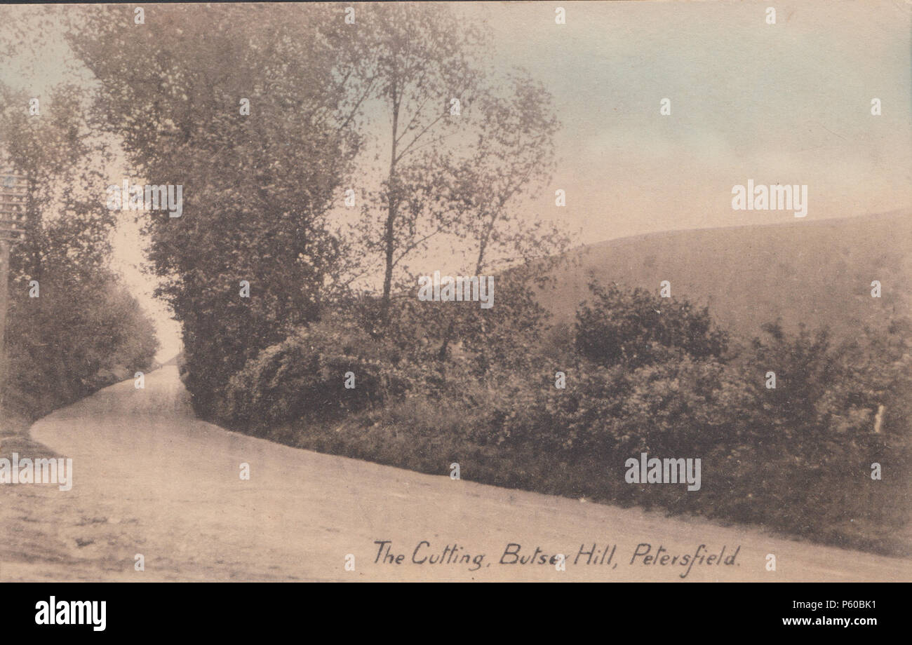 Cartolina vintage del taglio, Butser Hill, Petersfield, Hampshire, Inghilterra, Regno Unito Foto Stock