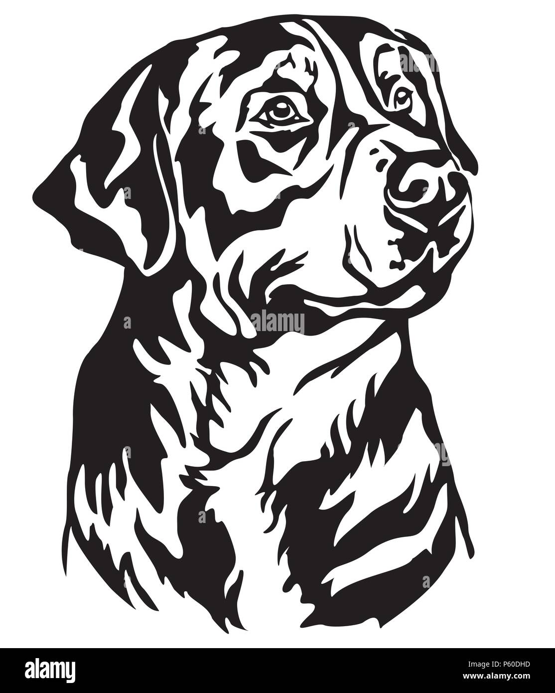 Ritratto decorativo del Cane Maggiore Swiss Mountain Dog, vettore isolato illustrazione in colore nero su sfondo bianco. Immagine per design e tatuaggio. Illustrazione Vettoriale