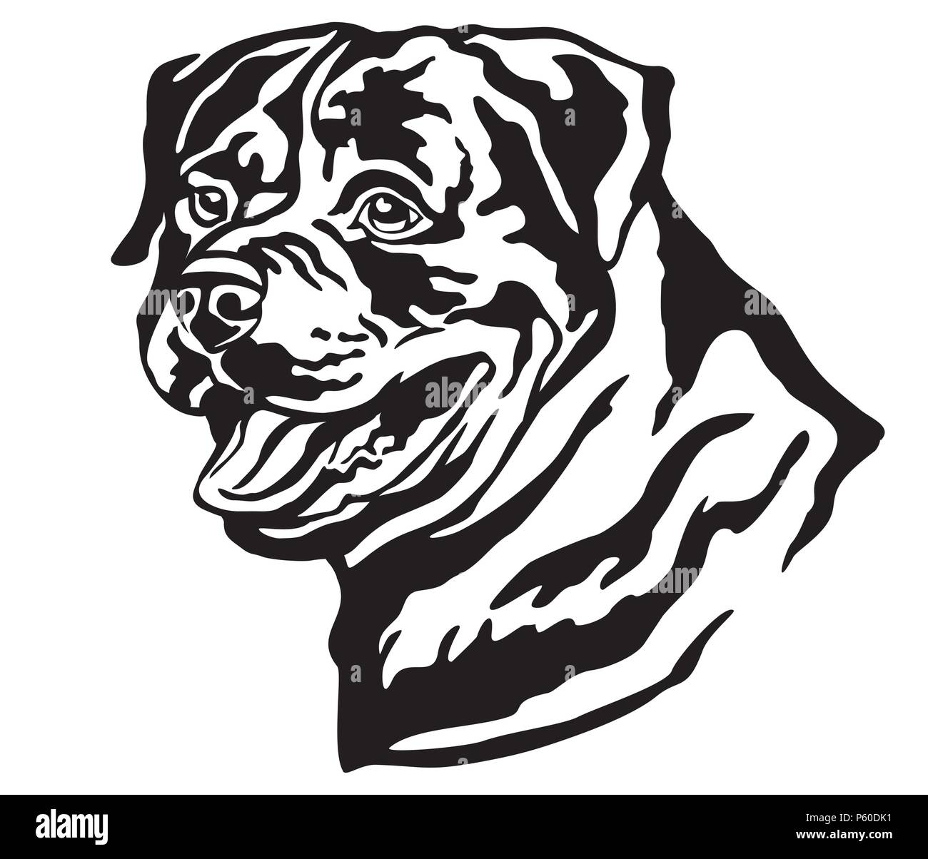 Ritratto decorativo di cane Rottweiler, vettore isolato illustrazione in colore nero su sfondo bianco. Immagine per design e tatuaggio. Illustrazione Vettoriale