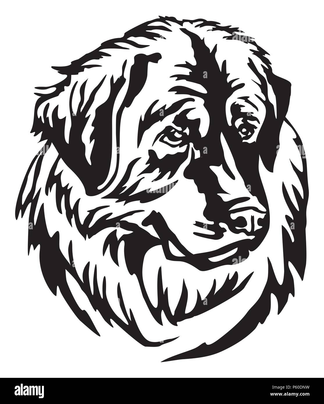 Ritratto decorativo di cane Leonberger, vettore isolato illustrazione in colore nero su sfondo bianco. Immagine per design e tatuaggio. Illustrazione Vettoriale