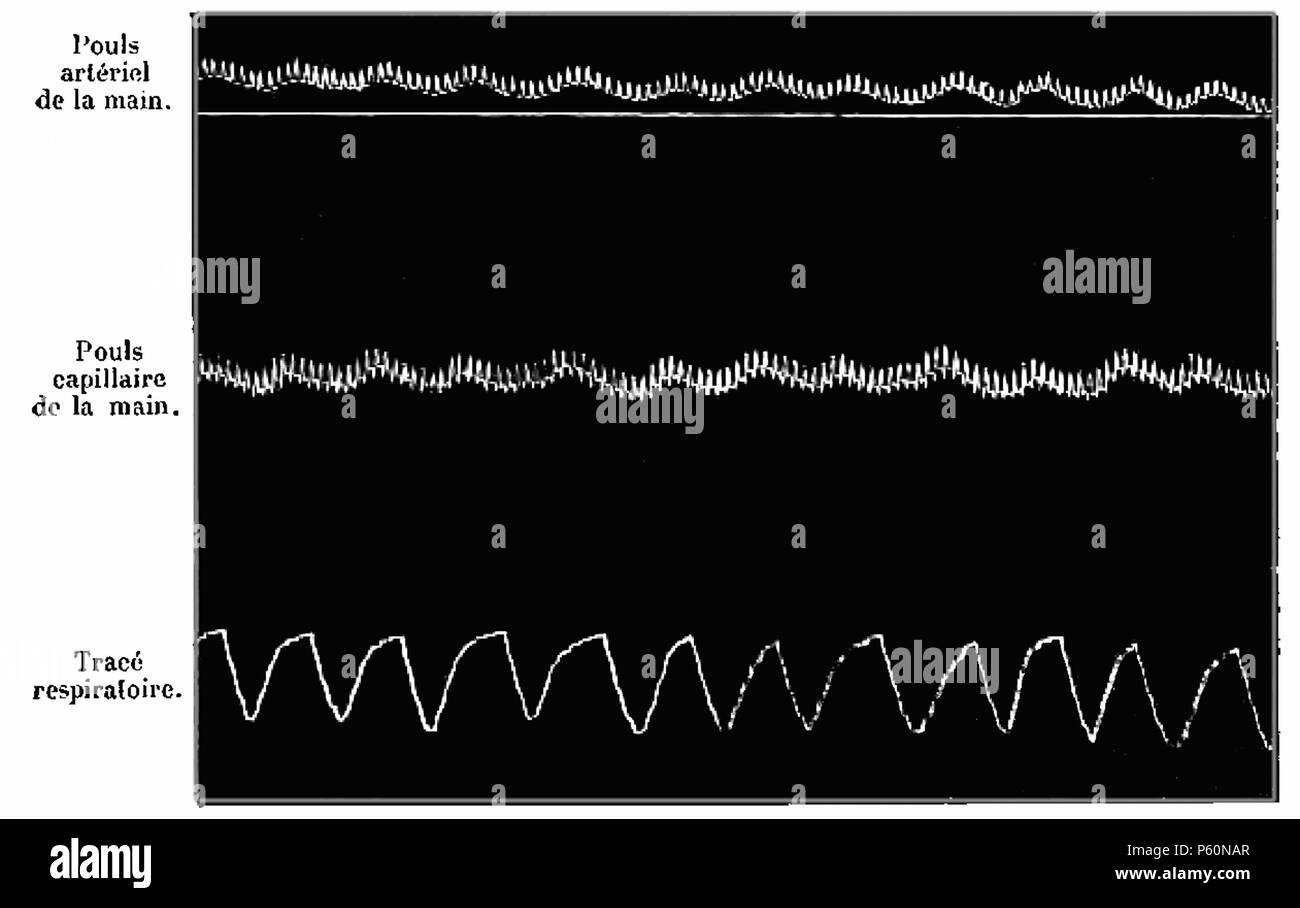 555 FI-d083-fig. 23 - Pouls et la respirazione Foto Stock