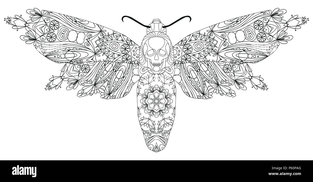 Butterfly zentangle stile con linee pulite per il libro da colorare per anti stress, t-shirt design, tattoo e altre decorazioni Illustrazione Vettoriale