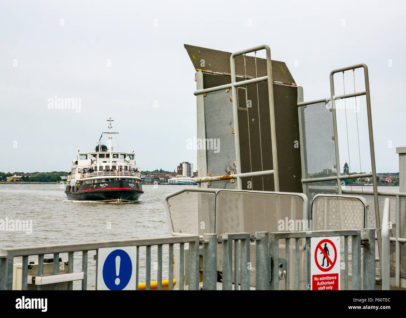 Mersey ferry, Royal iris, avvicinando dockside, Pier Head, Liverpool, England, Regno Unito Foto Stock