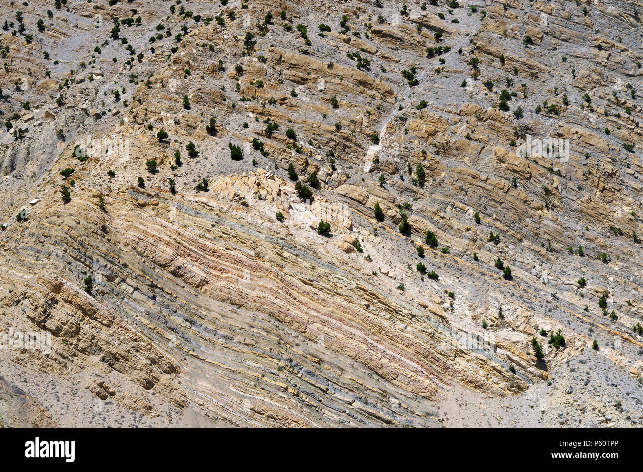 Stratificato colorato rock punteggiato di alberi, Mustang regione, Nepal. Foto Stock