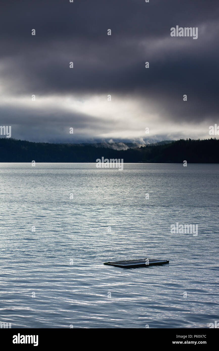 Nuotare galleggiante di raccolta sotto cappa di nuvole Canal, Washington, orientamento verticale Foto Stock