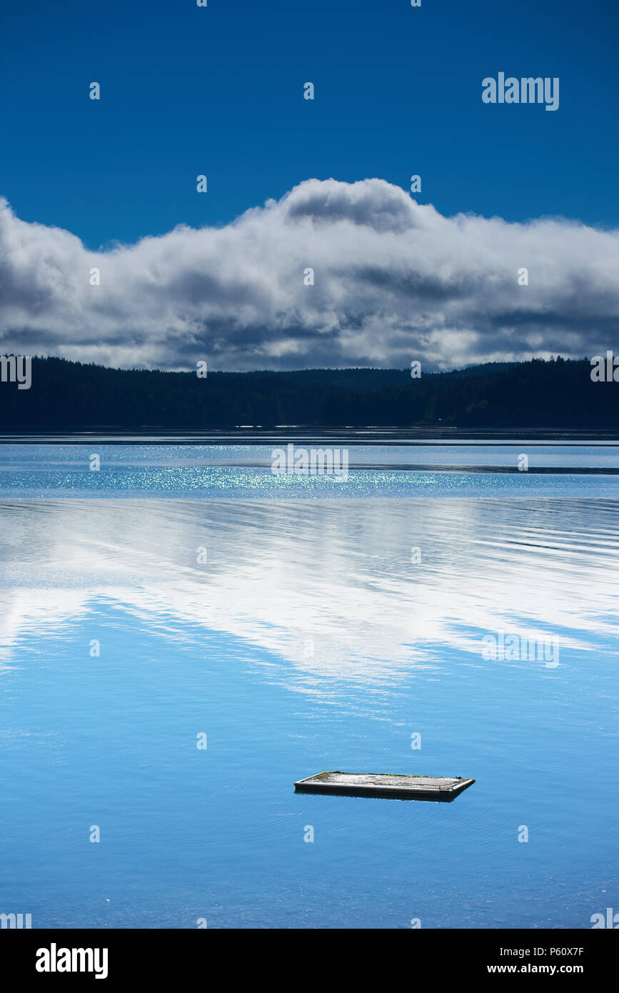 Nuotare galleggiante sul pomeriggio estivo, cappa Canal, Washington, orientamento verticale Foto Stock
