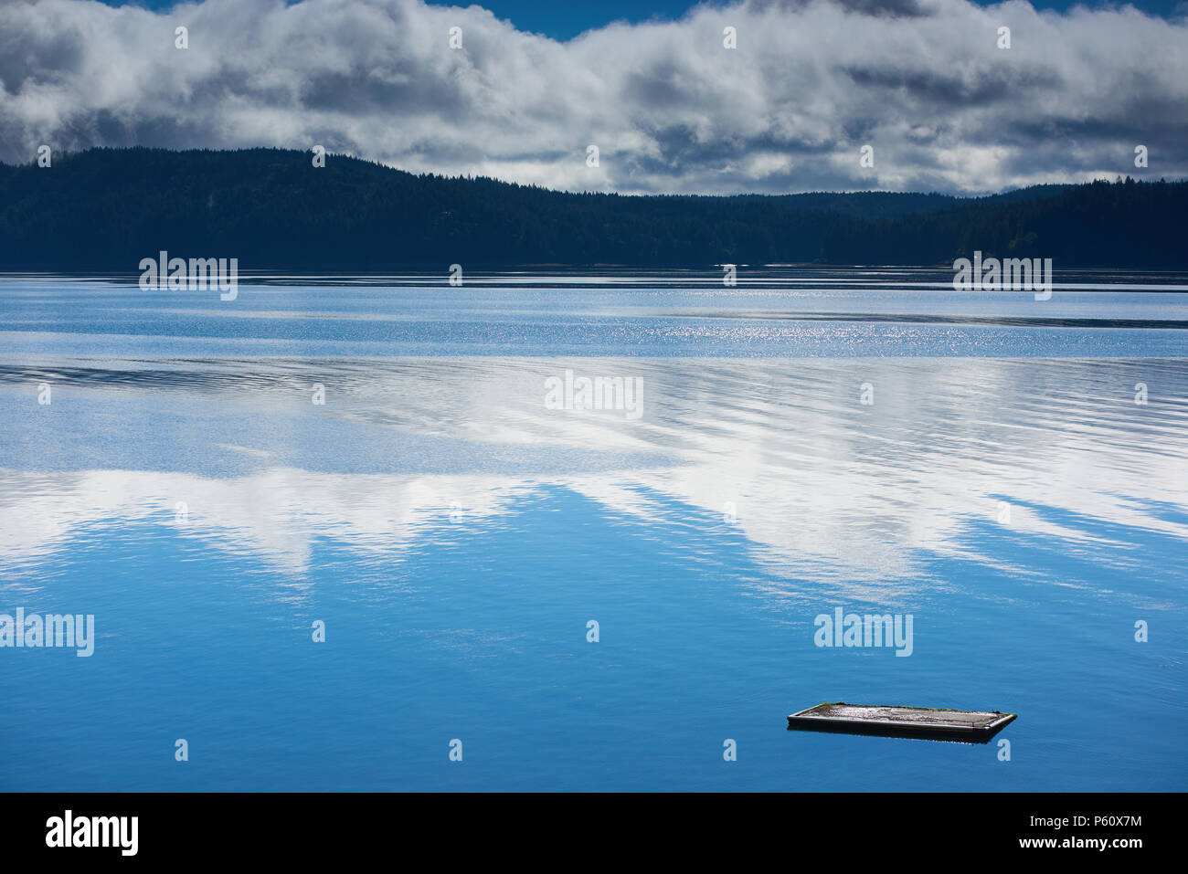 Nuotare galleggiante sul pomeriggio estivo, cappa Canal, Washington, orientamento verticale Foto Stock