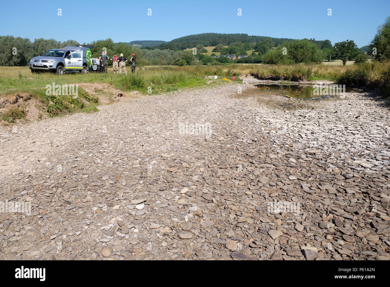 Fiume teme, vicino Leintwardine, Herefordshire, Regno Unito - Giovedì 28 Giugno 2018 - Agenzia per l'ambiente il personale utilizza electrofishing in soccorso di pesci catturati da piccole piscine lungo la asciugò il letto del fiume del fiume teme vicino - il pesce recuperato ( principalmente i giovani salmoni e trote ) verrà rilasciata nel fiume teme ulteriormente a valle. Credito: Steven Maggio/Alamy Live News Foto Stock