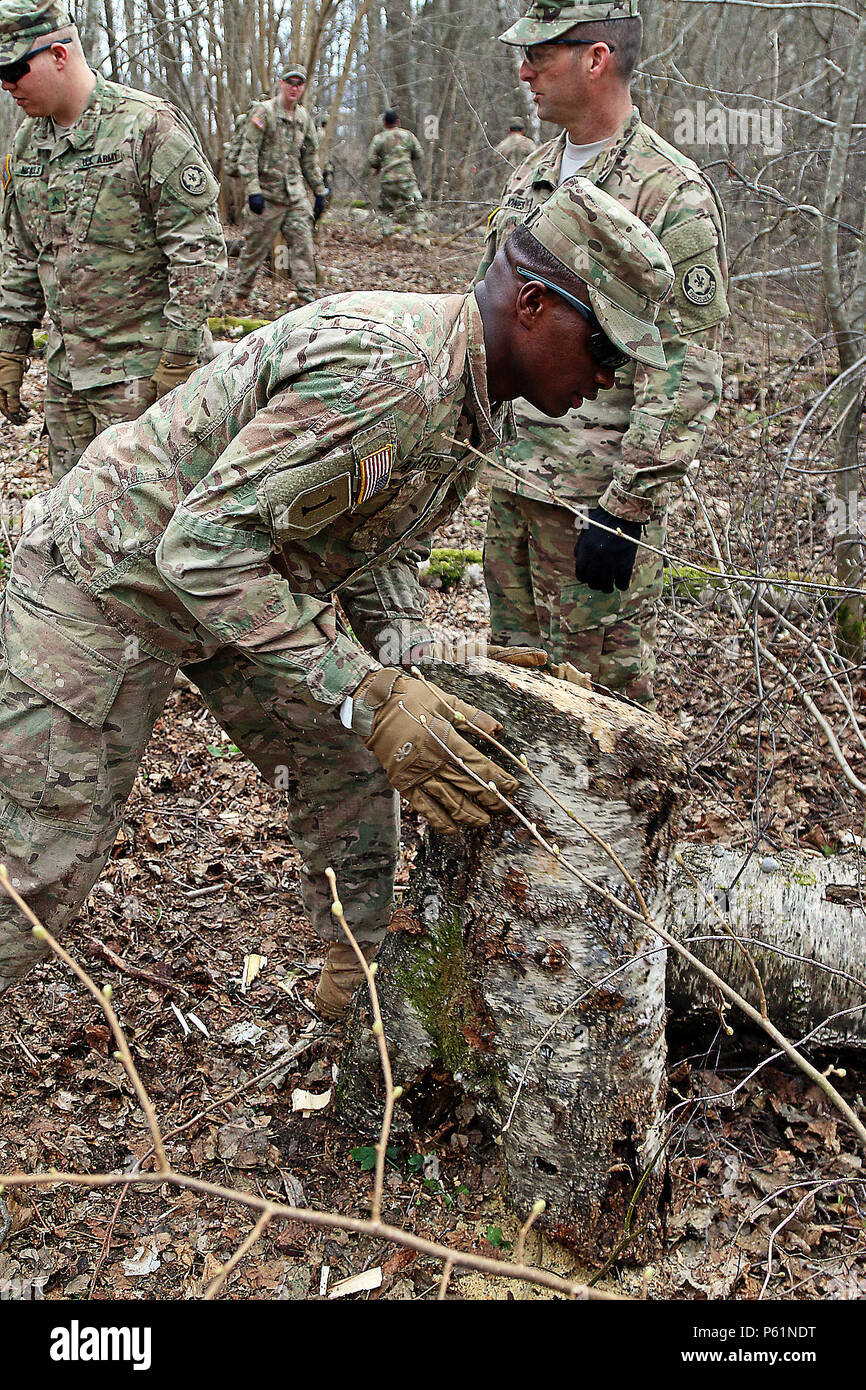 Sgt. Miguel Andrade, un fuoco indiretto fantassin assegnato alla sede centrale e sede di truppe, 3° Stormo, 2° reggimento di cavalleria si muove un registro durante la cancellazione di un sentiero durante una comunicazione alla comunità progetto, 9 Aprile a Daugavpils, Lettonia. Andrade ha contribuito a creare il percorso in corrispondenza di una gioventù cristiana camp utilizzato da centinaia di bambini e famiglie provenienti dalla Lettonia, Estonia e Lituania. (U.S. Esercito foto di Sgt. Paige Behringer, decimo premere il quartier generale di Camp)Hometown: Brockton, Massachusetts Foto Stock
