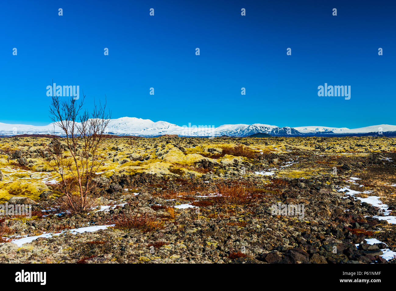 Impressione di icelands desoltae paesaggio in thingvellir parco nazionale intorno al lago thingvallavatn coevred contrasty in colori vivaci, aprile 2018 Foto Stock