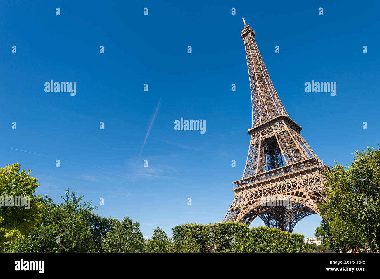 Parigi, Francia - 23 Giugno 2018: Torre Eiffel dal Champ de Mars giardini in estate. Foto Stock