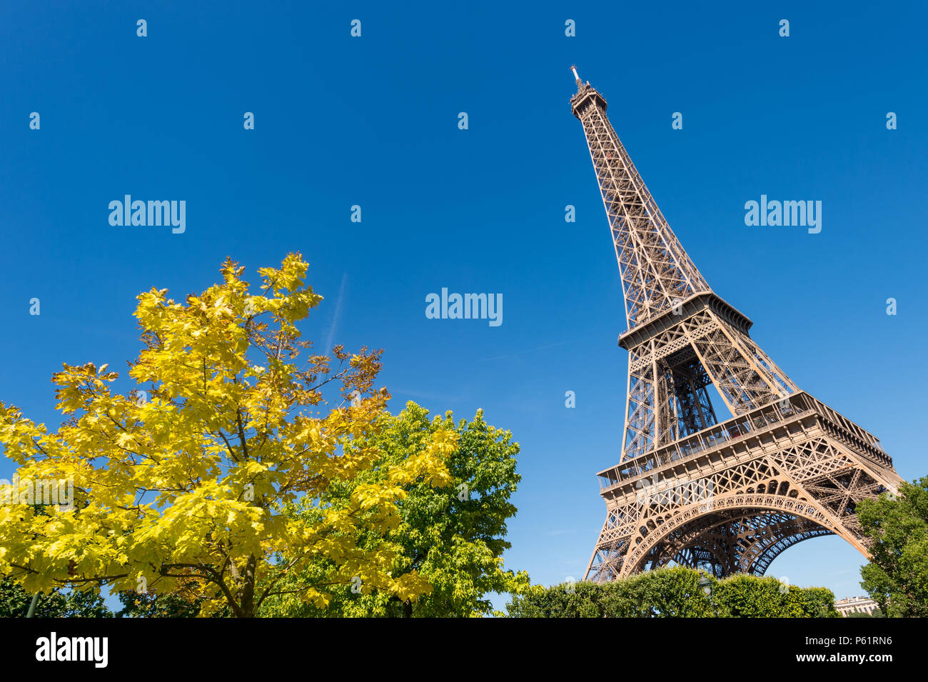 Parigi, Francia - 23 Giugno 2018: Torre Eiffel dal Champ de Mars giardini in estate. Foto Stock