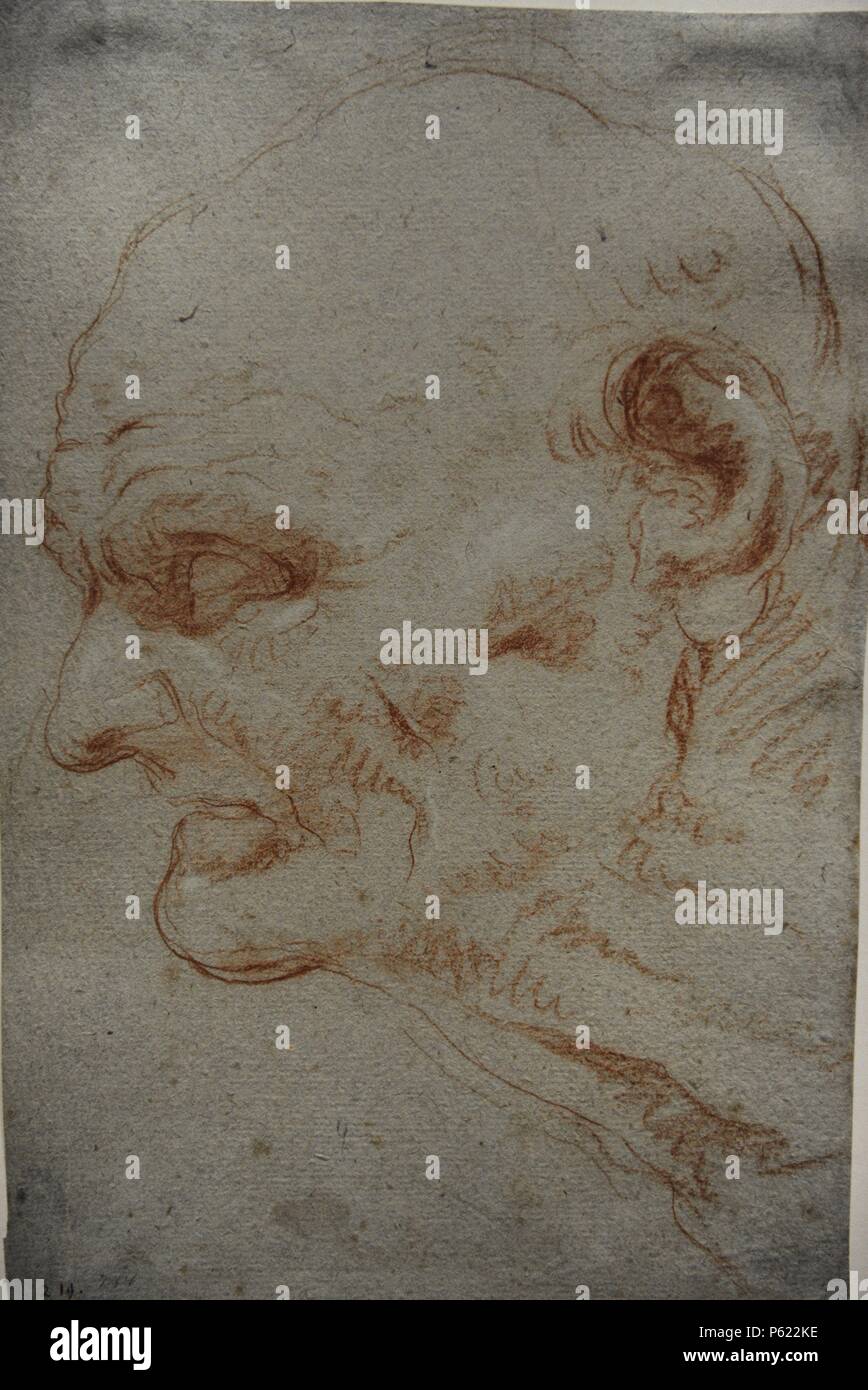 Giovanni Battista Tiepolo (1696-1770). Pittore italiano dalla Repubblica di Viena. Rococo. Testa di Seneca. Alte Pinakothek. Monaco di Baviera. Germania. Temporay mostra. Foto Stock