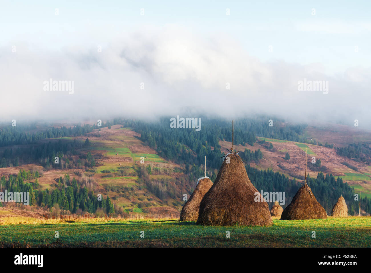 Incredibile scena rurale sulla valle di autunno Foto Stock