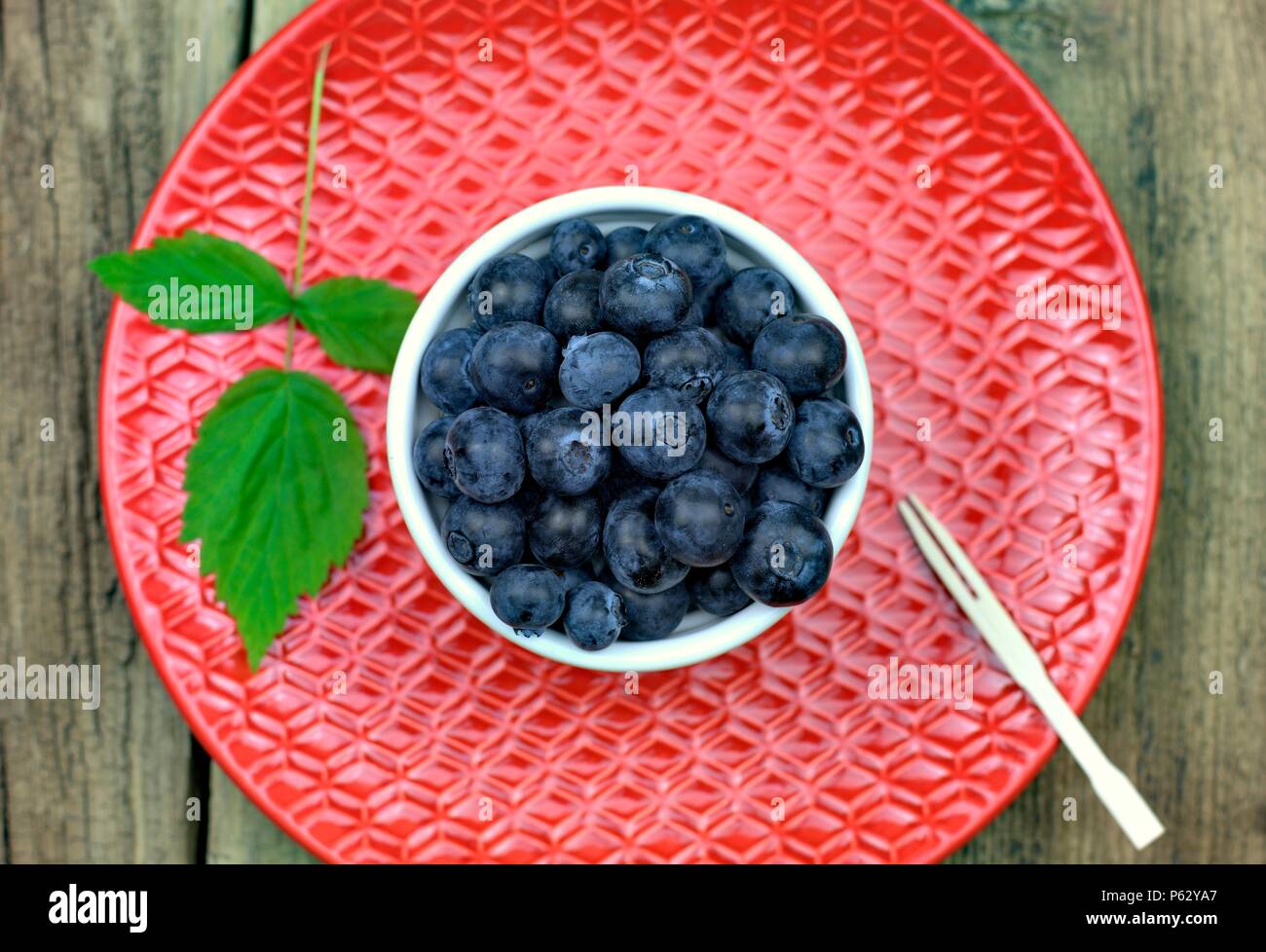 Cibo sano,l'agricoltura,raccolto e concetto di frutta: close-up di mirtilli maturi in una ciotola su una rossa piastra ceramica. Foto Stock Cibo sano,l'agricoltura,raccolto e concetto di frutta: close-up di mirtilli maturi in una ciotola su una rossa piastra ceramica. Foto Stock