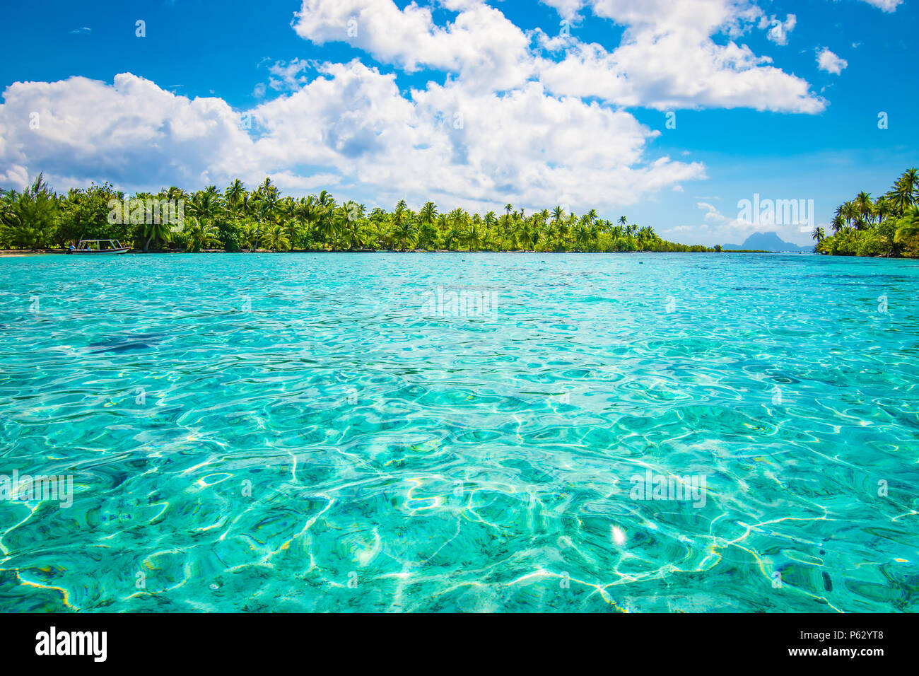 Paradiso tropicale seascape con Palm tree island. Tahaa, Polinesia francese. Foto Stock
