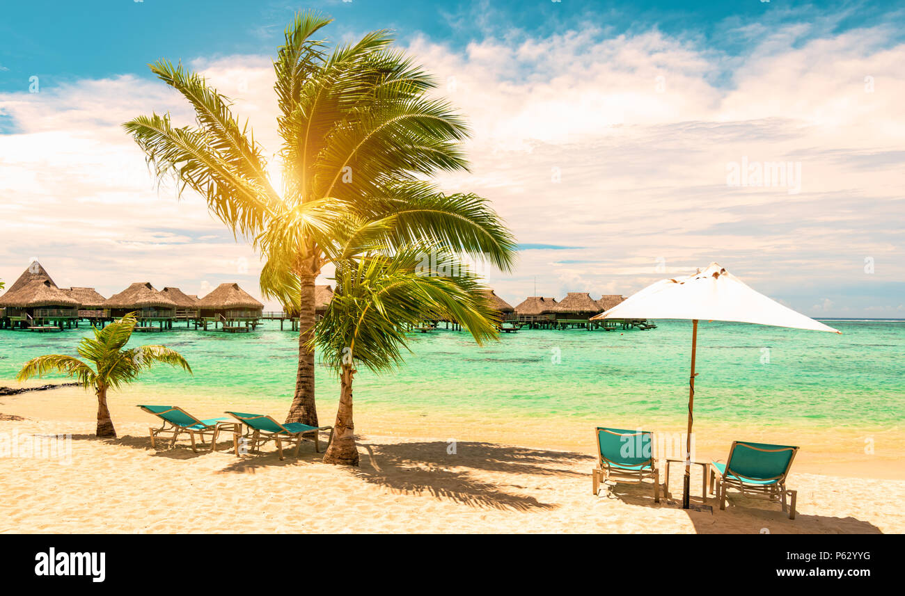 Spiaggia tropicale con sedie da spiaggia, ombrellone e palme. Isola di Moorea, Polinesia francese. Foto Stock