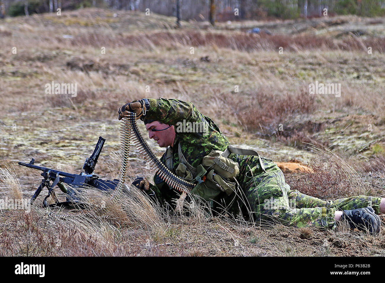 Un soldato canadese ricarica la sua arma durante il live-fire porzione di rompere il contatto e la trincea esercizio di clearing, 19 aprile a Adazi Base Militare, Lettonia. Il lettone e soldati degli Stati Uniti hanno partecipato anche l'esercizio come una parte dell'estate scudo XIII, a due-la settimana di esercizio di interoperabilità. I soldati assegnati alla sede centrale e sede di truppe, 3° Stormo, 2° reggimento di cavalleria nella regione di funzionamento di supporto Atlantic risolvere uniti alleati dalla Lettonia, Canada, Lituania e nella Repubblica federale di Germania per la formazione annuale evento. (U.S. Esercito foto di Sgt. Paige Behringer, decimo premere Camp Headquarter Foto Stock
