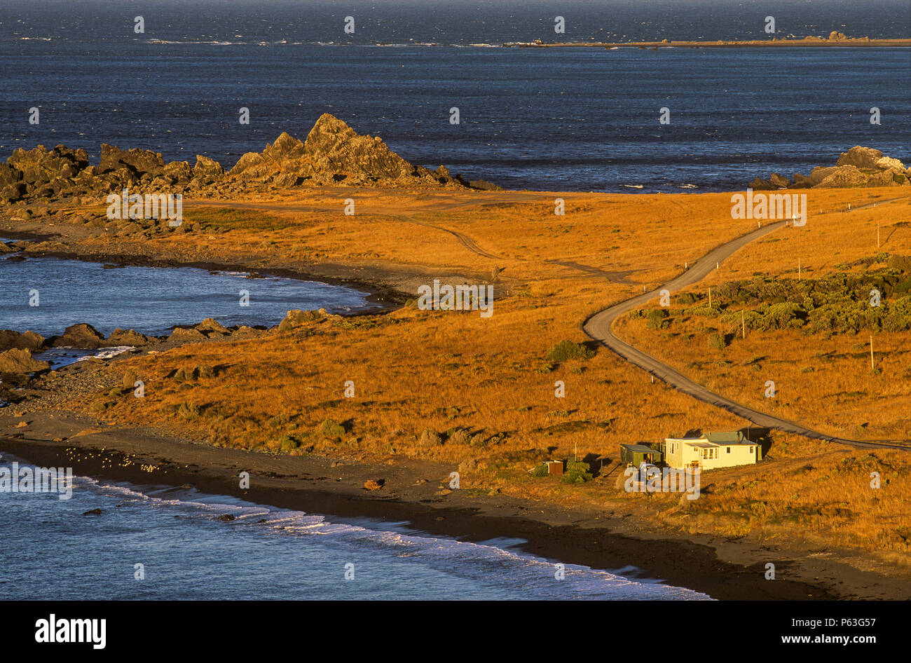 Arido paesaggio di Cape Palliser, Wairarapa, Nuova Zelanda Foto Stock