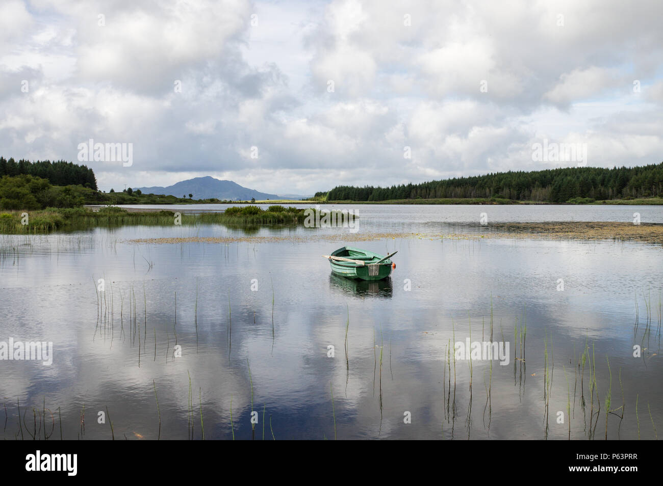 Bella Loch Peallach sull'Isle of Mull su un luminoso giorno di estate - Ebridi Interne, Scozia Foto Stock