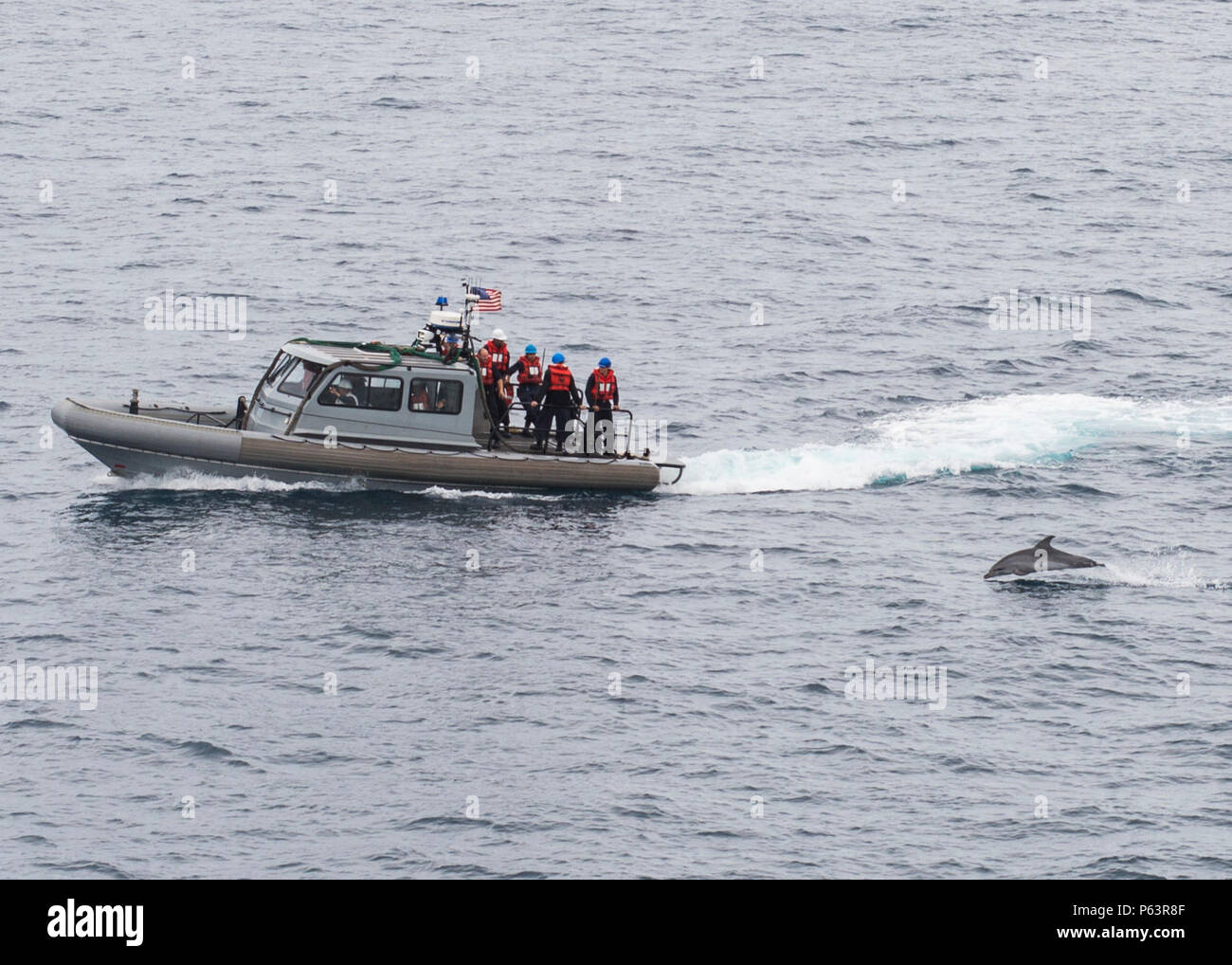 160412-N-TI017-135 OCEANO ATLANTICO (12 aprile 2016) marinai su una rigida-scafo gommone (nervatura) dal dock landing ship USS Whidbey Island (LSD 41) posto un delfino off loro stern. Whidbey Island è attualmente in corso con la Vespa Anfibia pronto gruppo partecipano in anfibio gruppo pronto/ Marine Expeditionary Esercizio dell'unità. (U.S. Foto di Marina di Massa lo specialista di comunicazione 2a classe Nathan R. McDonald/rilasciato) Foto Stock