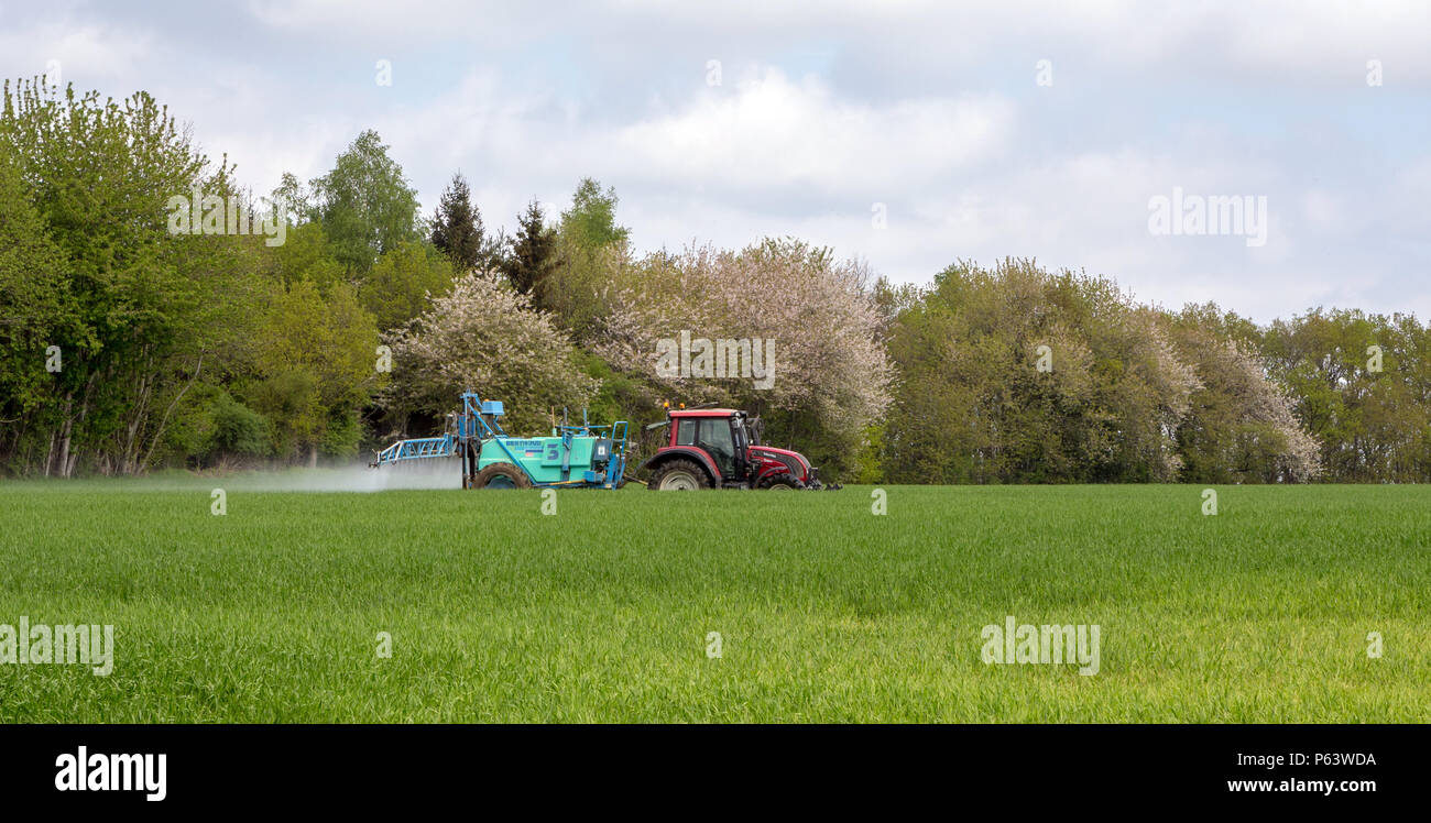 Un agricoltore spruzzando le sue coltivazioni. Foto Stock